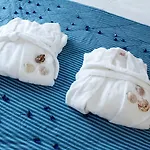 Pantonia 4*