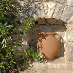 Pantonia