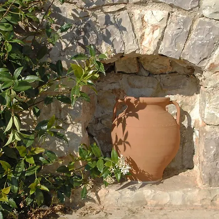 Pantonia Aparthotel 3*
